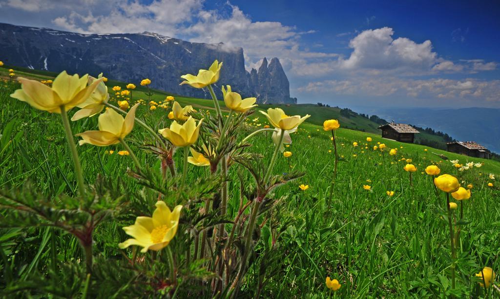 Garni Alpin Hotel Siusi Kültér fotó