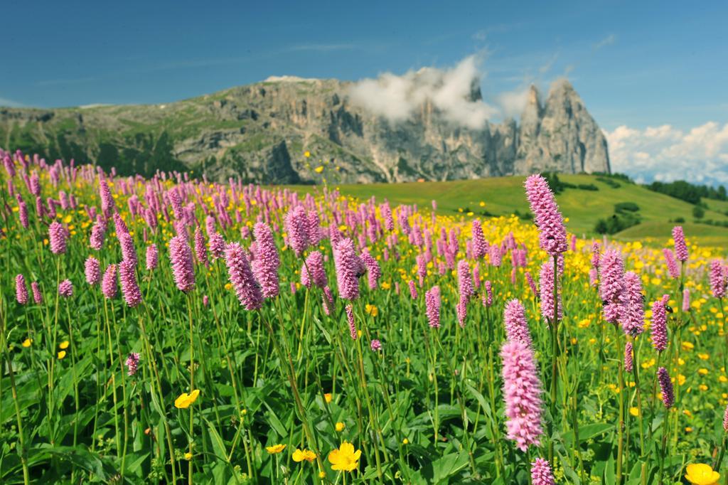 Garni Alpin Hotel Siusi Kültér fotó